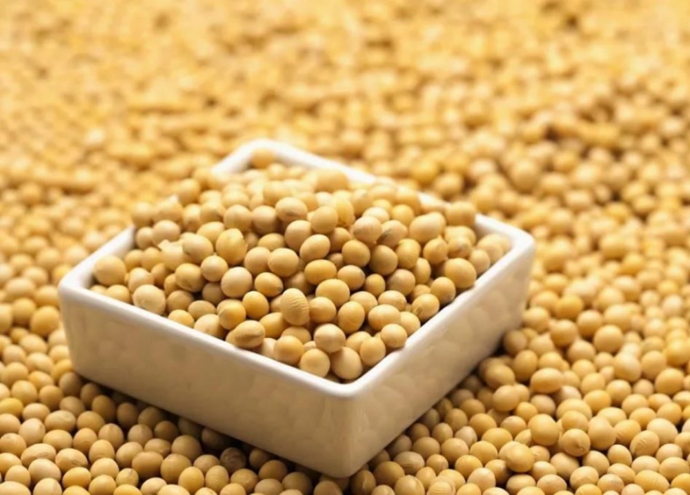 ປະໂຫຍດຂອງຖົ່ວເຫລືອງ isoflavones ແມ່ນຫຍັງ?