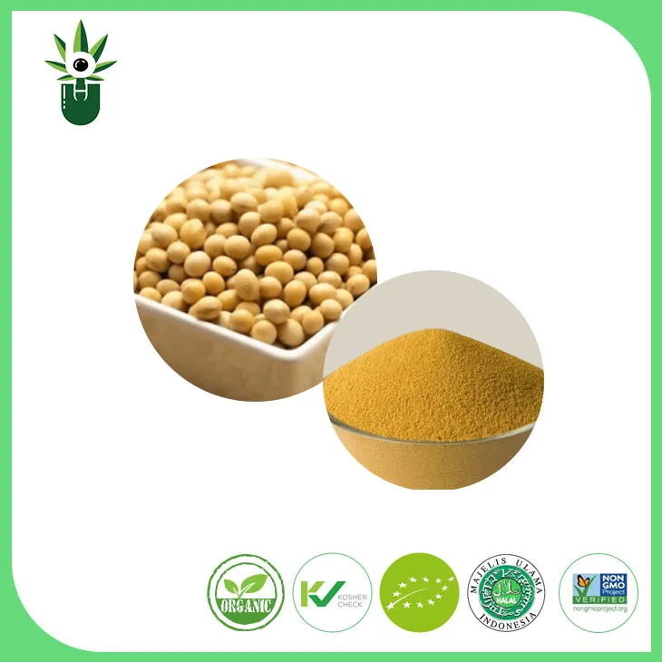 ຜົນກະທົບຂອງຖົ່ວເຫລືອງ isoflavones ກ່ຽວກັບແມ່ຍິງແມ່ນຫຍັງ?