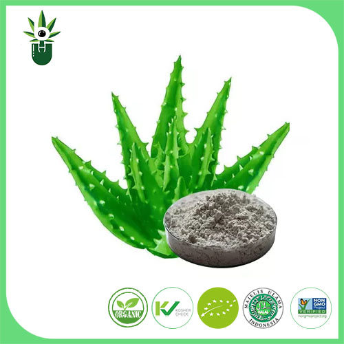 ສານສະກັດຈາກ Aloe Vera